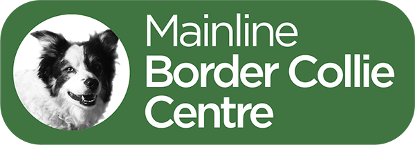 Mainline Border Collie Centre