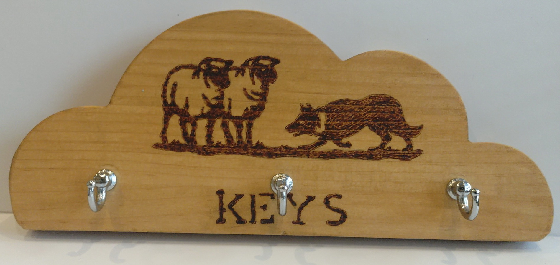 Key/dog lead hooks – find out more