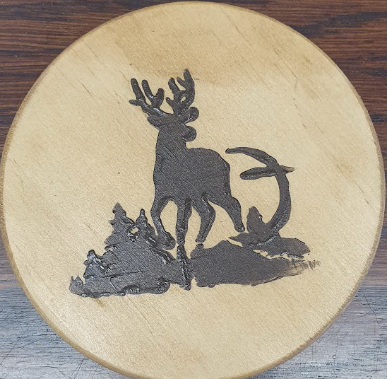 Coaster wild life 1 – find out more