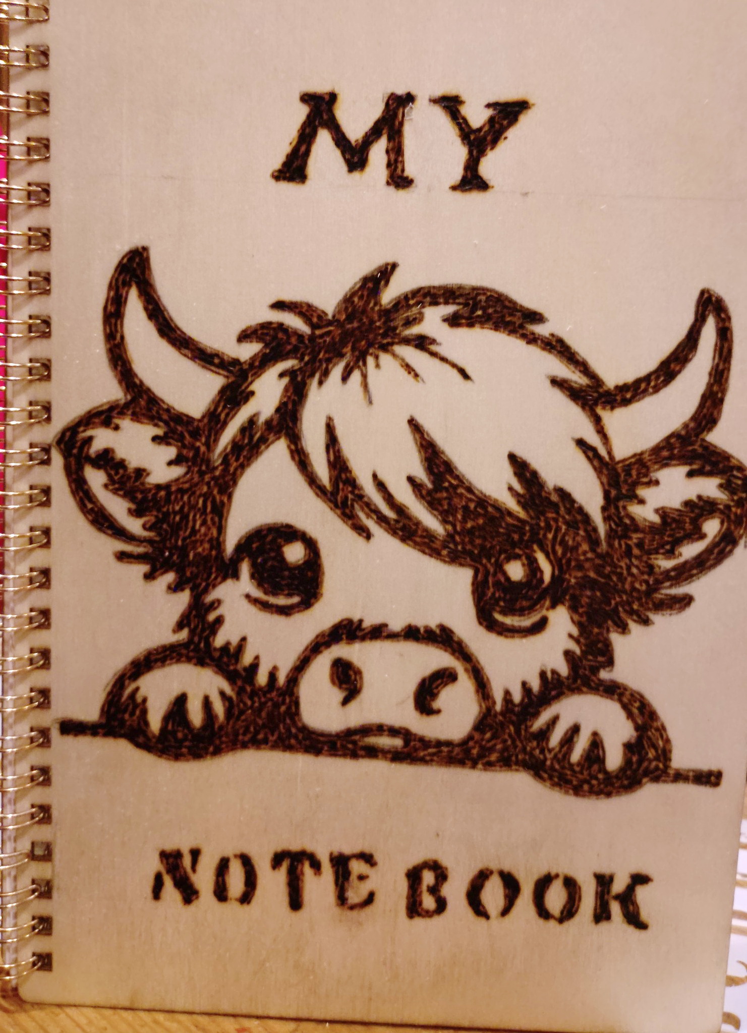 My notebook – find out more