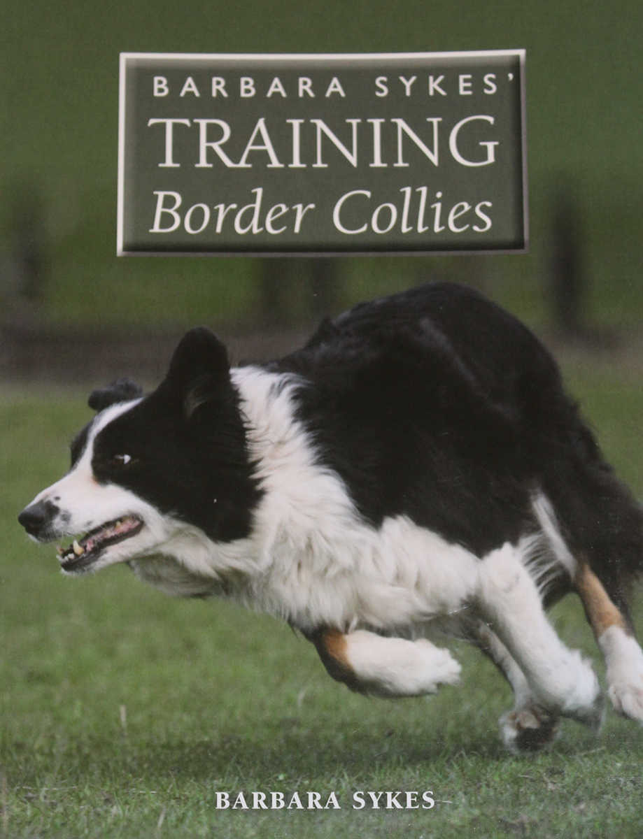 Training Border Collies
