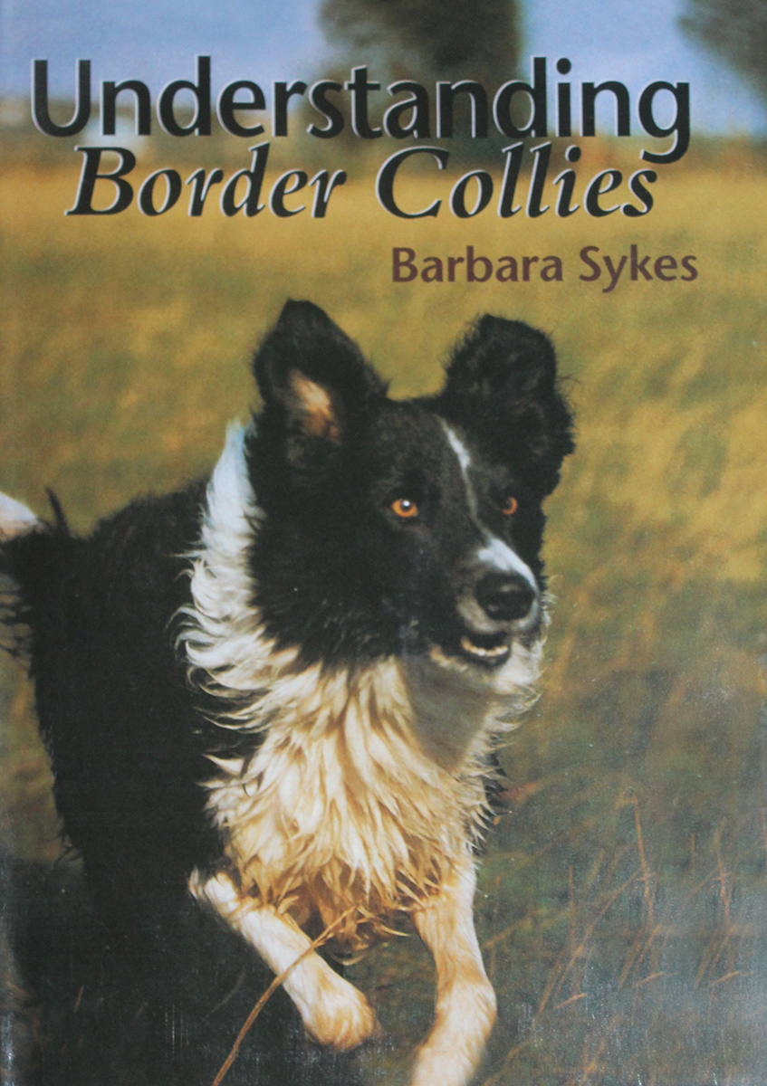 N) Understanding Border Collies